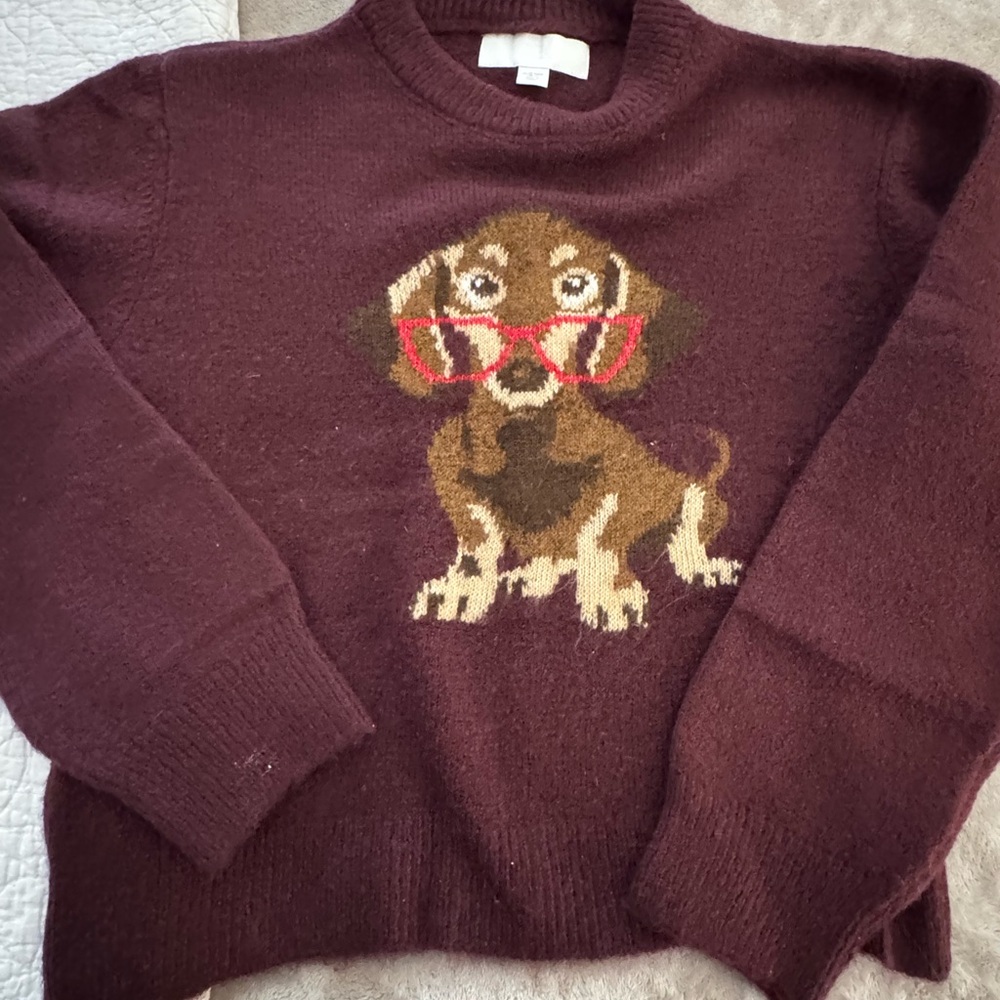 Zara Burgundy Knit Sweater